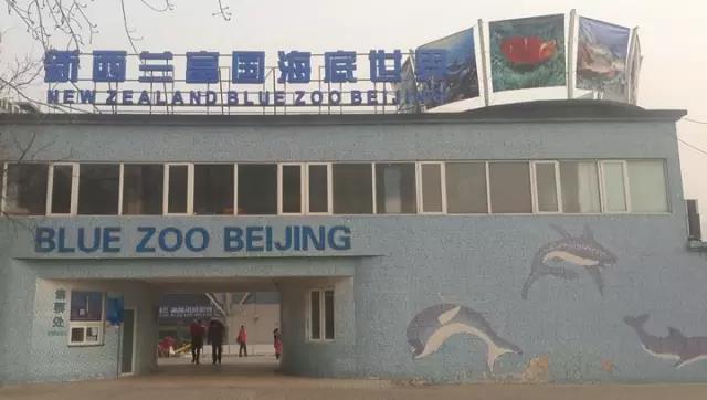案例 ▎ZOBO蜜桃AV无码在线观看為富國海底世界打造音視頻係統